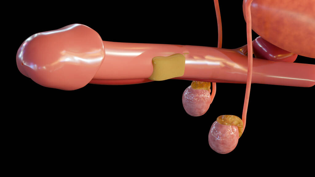 Enhanced Blood Flow